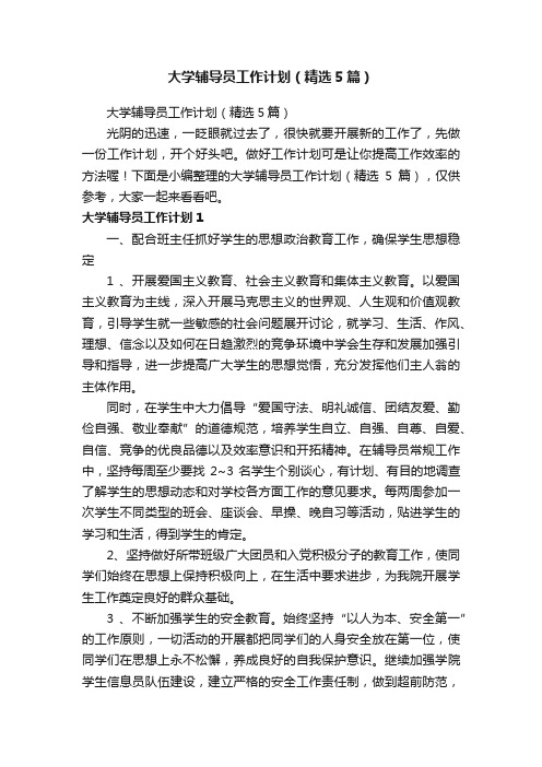 大学辅导员工作计划（精选5篇）