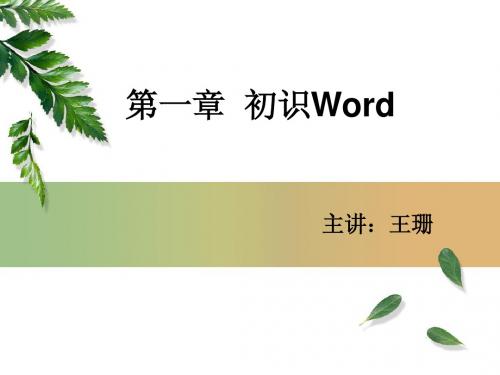 初识word