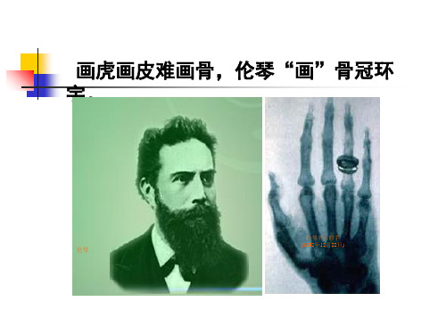 软骨和骨 ppt课件