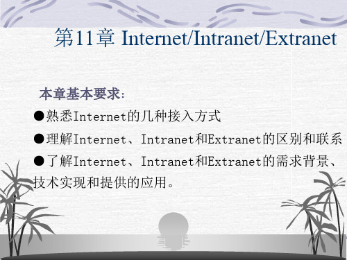 第11章 Internet、Intranet和Extranet