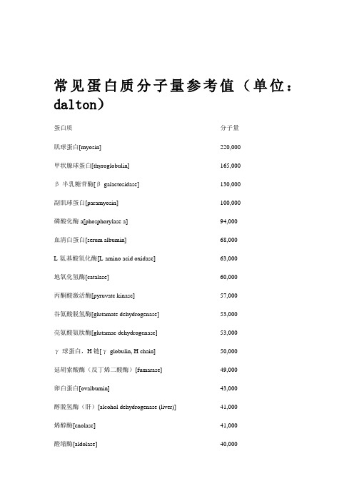 常见蛋白质分子量参考值