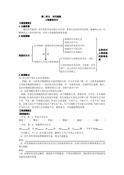 北师大版八年级下册课课练第二单元