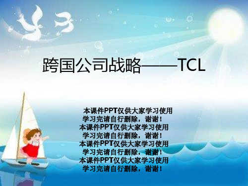 跨国公司战略——TCL