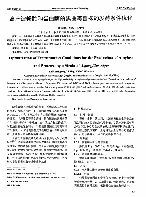 高产淀粉酶和蛋白酶的黑曲霉菌株的发酵条件优化