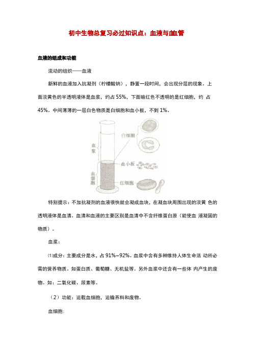 初中生物总复习必过知识点：血液与血管