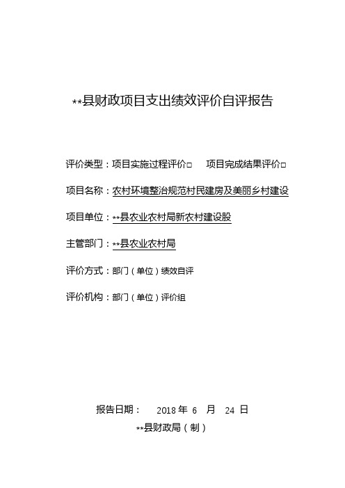 岳阳县财政项目支出绩效评价自评报告【模板】