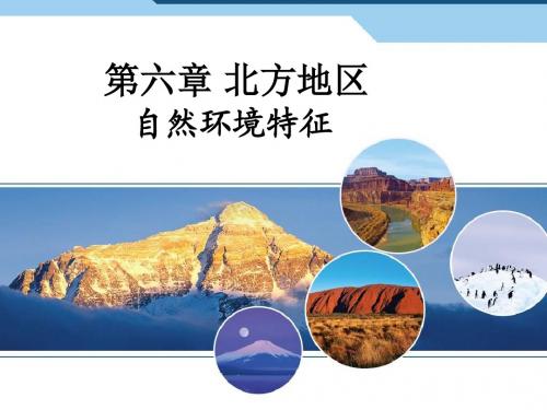 人教版八年级地理下册课件  6.1 自然特征与农业(共31张PPT)