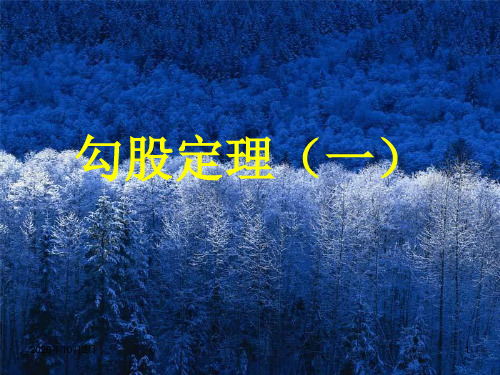 勾股定理(一)PPT课件