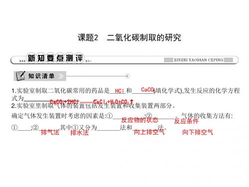 九年级化学上册第六单元碳和碳的氧化物课题2二氧化碳制取的研究