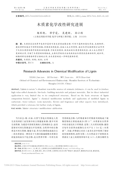 木质素化学改性研究进展_杨军艳