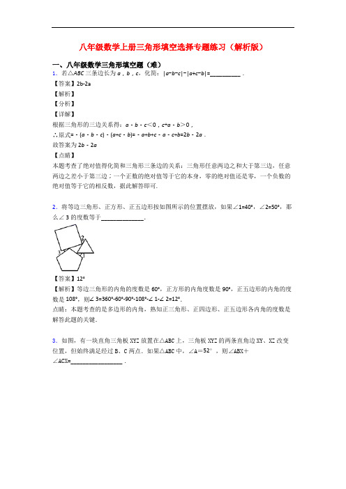 八年级数学上册三角形填空选择专题练习(解析版)