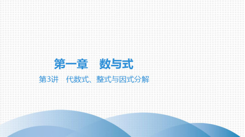 最新人教版中考数学总复习考点过关第3讲 代数式、整式与因式分解