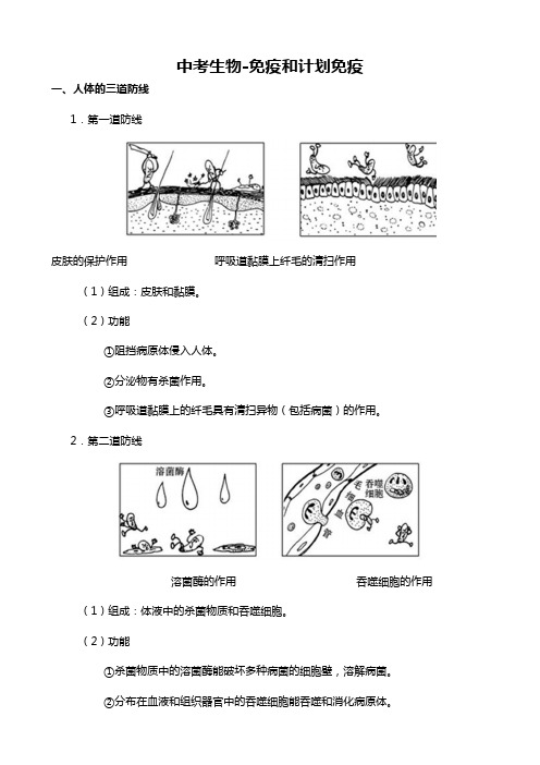 中考生物-免疫和计划免疫