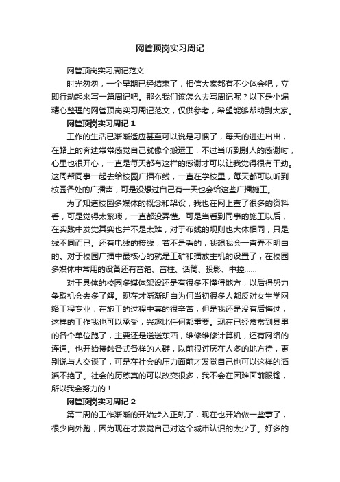 网管顶岗实习周记范文