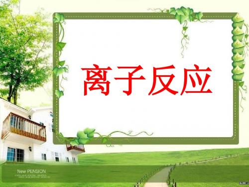 离子反应(完整版)