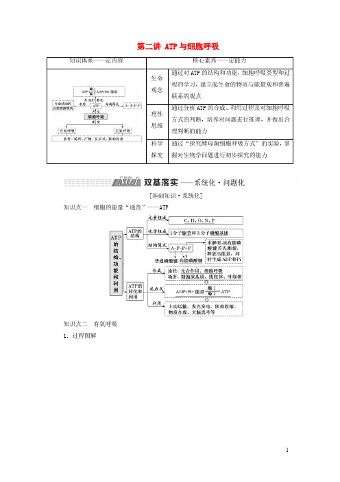 高考生物一轮复习 第三单元 细胞的能量供应和利用 第二讲 ATP与细胞呼吸精选教案