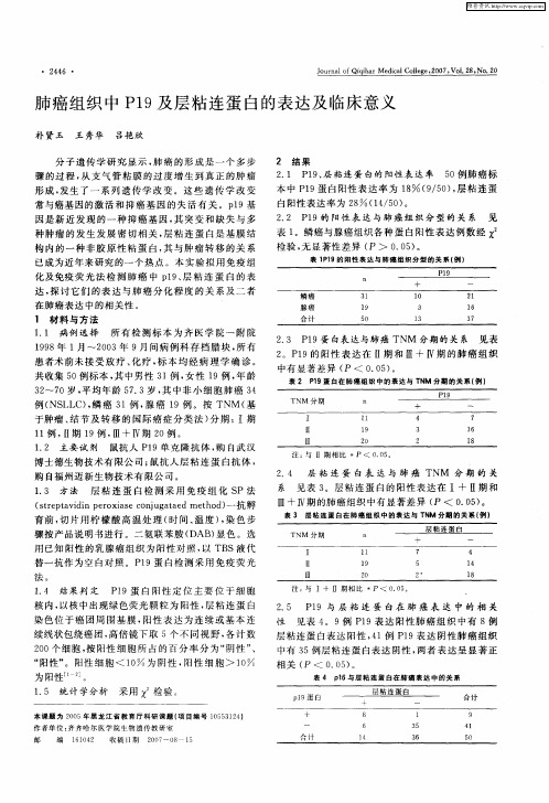 肺癌组织中P19及层粘连蛋白的表达及临床意义