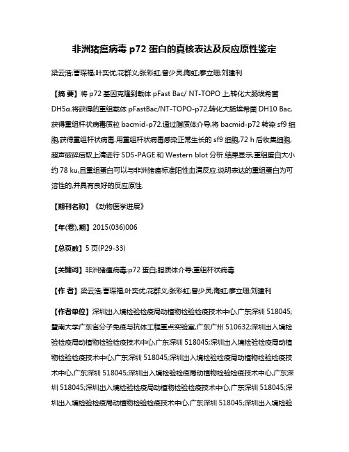 非洲猪瘟病毒p72蛋白的真核表达及反应原性鉴定