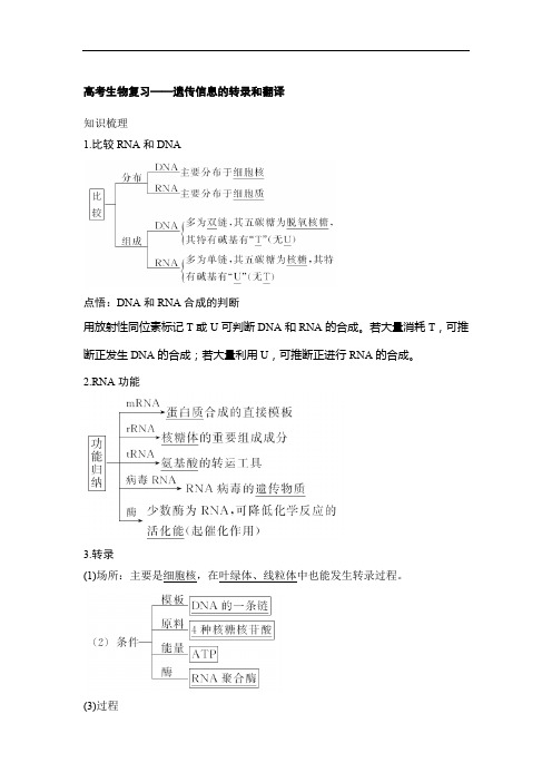 高考生物复习——遗传信息的转录和翻译