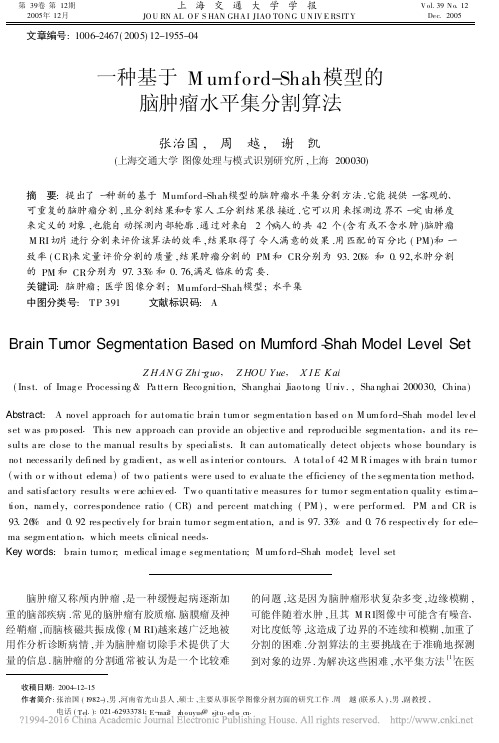 一种基于Mumford_Shah模型的脑肿瘤水平集分割算法