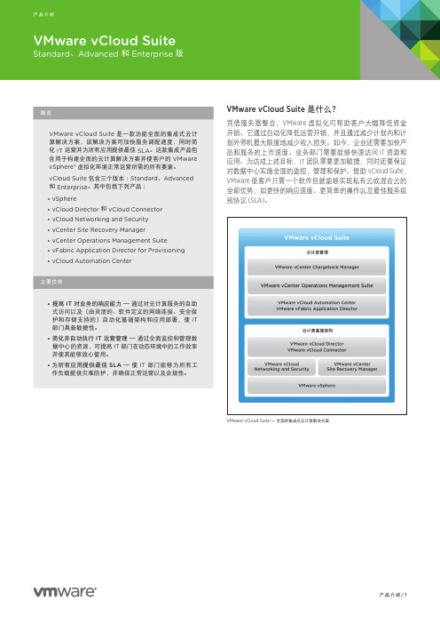 vCloud Director 版本简介