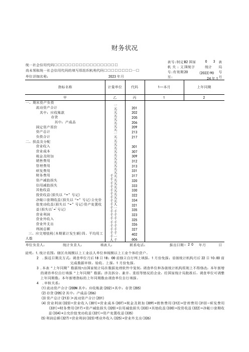 财务状况B203表