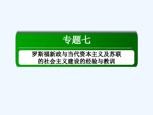 专题七苏联社会主义建设的经验与教训课件人民版必修2课件