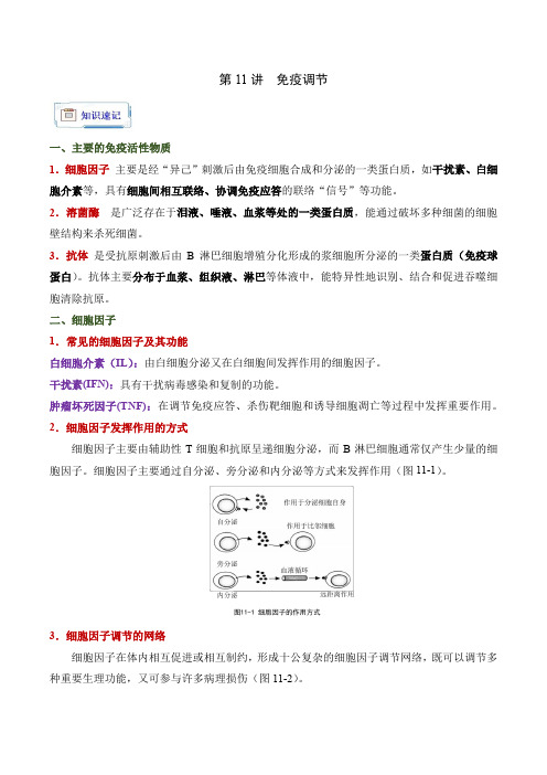 第11讲免疫调节-【拾遗补缺】备战2025年高考生物一轮复习知识清单速记与精练(江苏专用)