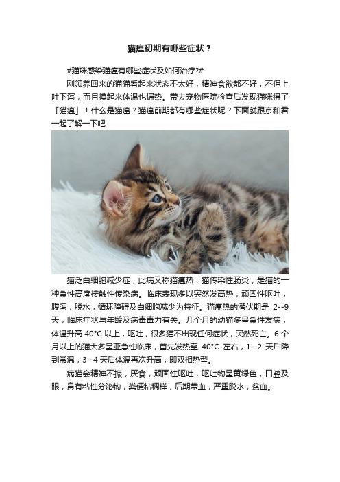 猫瘟初期有哪些症状？