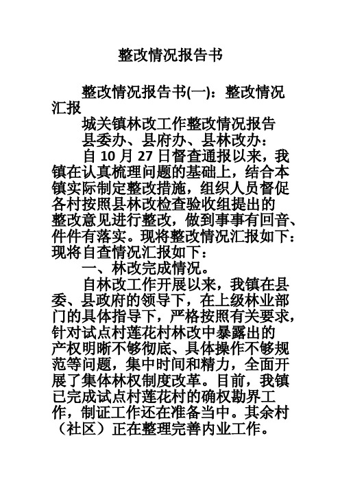 整改情况报告书