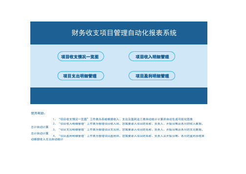 财务收支项目管理自动化报表系统