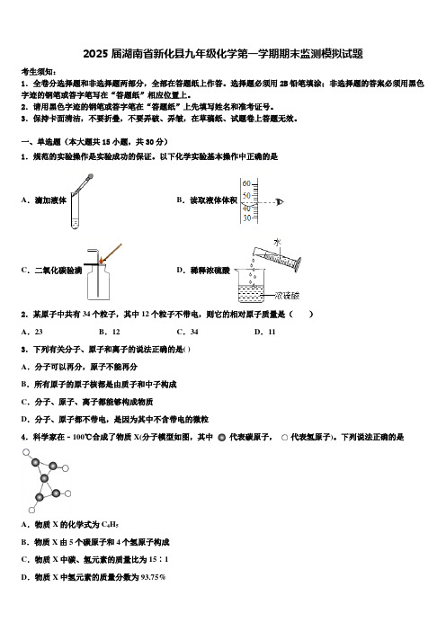 2025届湖南省新化县九年级化学第一学期期末监测模拟试题含解析