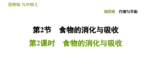 浙教版科学《食物的消化与吸收》课件PPT2
