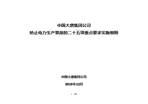 大唐集团项反措实施细则