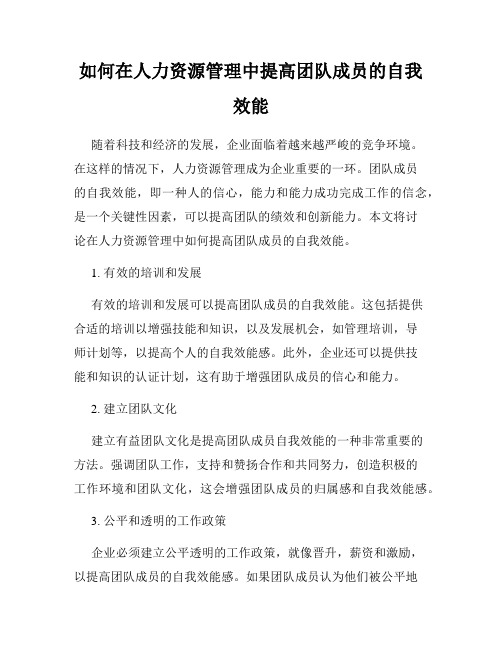 如何在人力资源管理中提高团队成员的自我效能