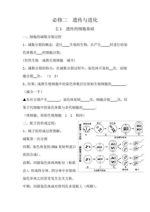 2023年高考生物必修二基础知识填空清单(含答案)