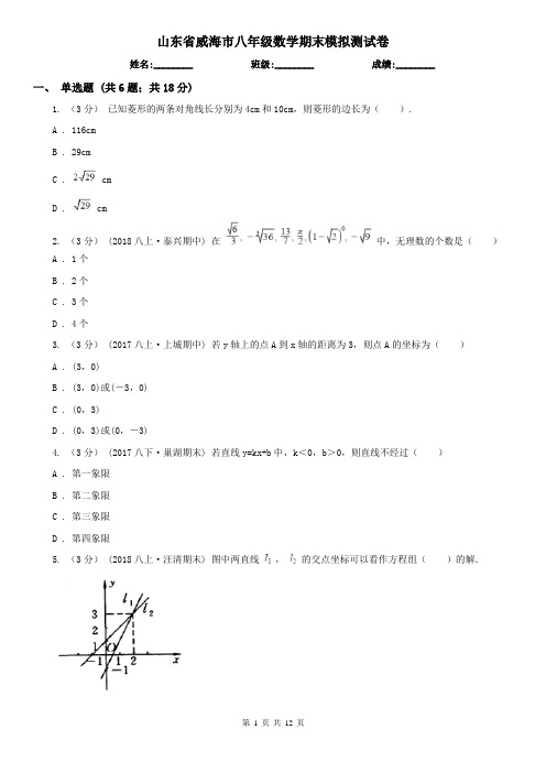 山东省威海市八年级数学期末模拟测试卷