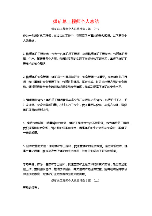 煤矿总工程师个人总结2篇