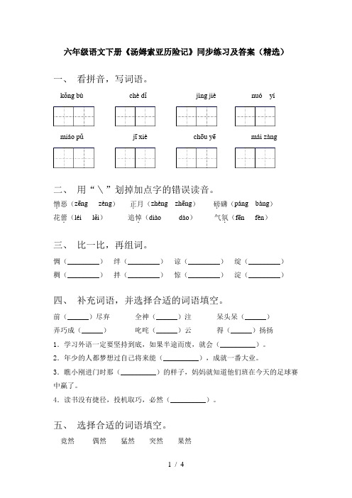 六年级语文下册《汤姆索亚历险记》同步练习及答案(精选)