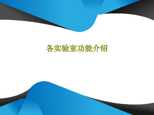 各实验室功能介绍PPT文档20页