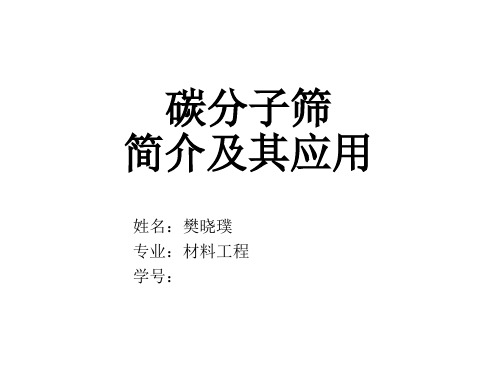 碳分子筛简介及其应用