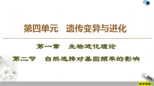 2019-2020学年中图版生物必修2 第4单元 第1章 第2节 自然选择对基因频率的影响