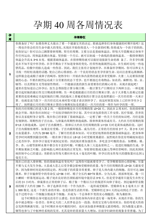 孕期40周各周情况表