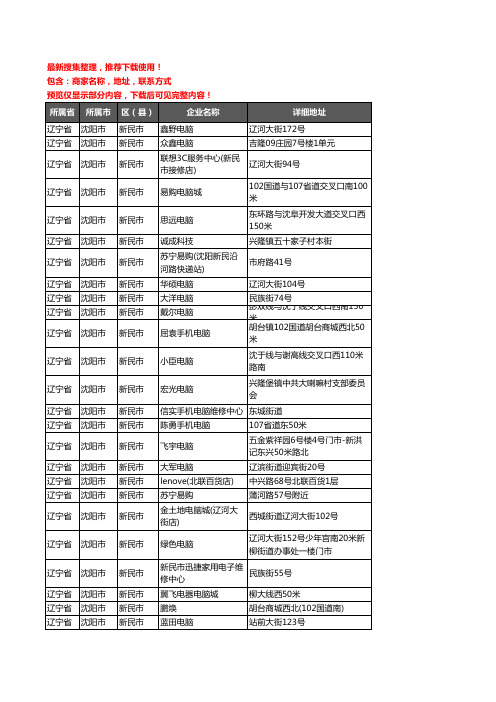 新版辽宁省沈阳市新民市电脑企业公司商家户名录单联系方式地址大全74家