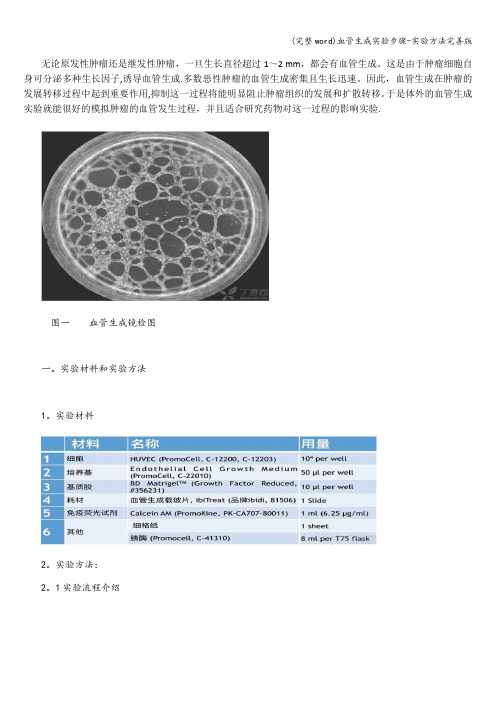 (完整word)血管生成实验步骤-实验方法完善版