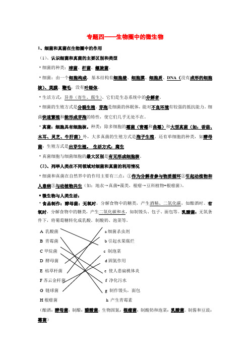 九年级中考生物圈中的微生物专题复习全国通用