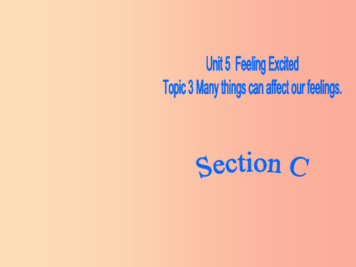 八年级英语下册Unit5FeelingexcitedTopic3Manythingscanaffec