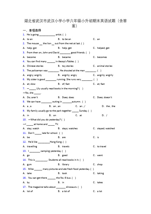 湖北省武汉市武汉小学小学六年级小升初期末英语试题(含答案)