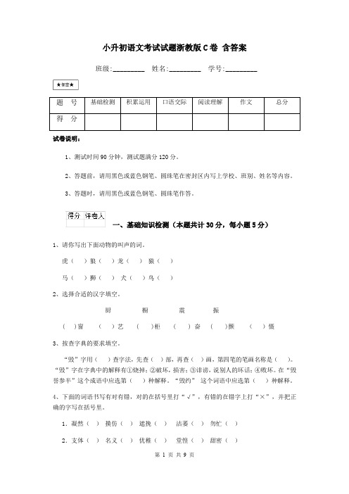 小升初语文考试试题浙教版C卷 含答案