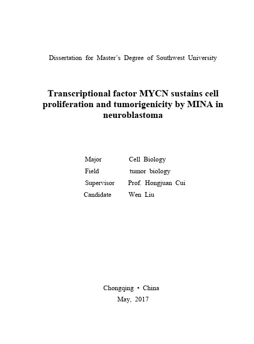 mycn与mina调控神经母细胞瘤细胞增殖和成瘤及其相互作用的研究